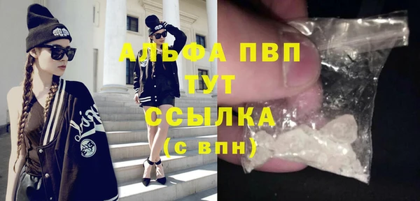 прущие грибы Наволоки