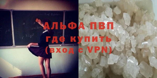 прущие грибы Наволоки