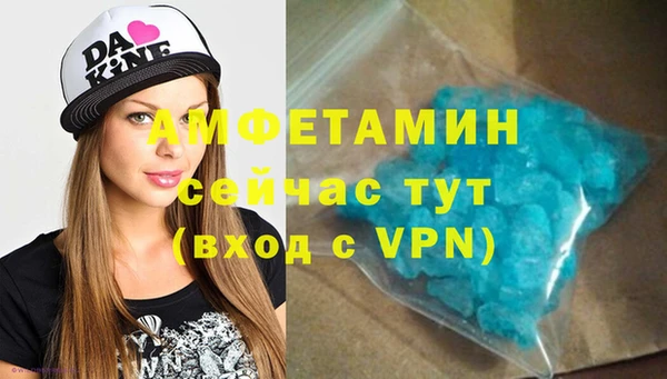 прущие грибы Наволоки