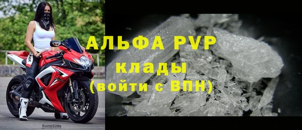 прущие грибы Наволоки