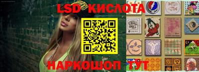 прущие крисы Донской