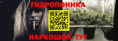 винт Дубна