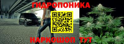 прущие крисы Донской