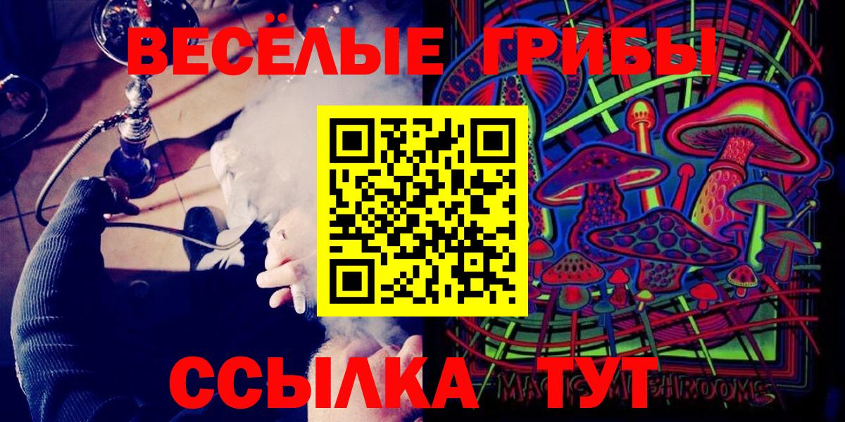 Псилоцибиновые грибы Cubensis Канаш