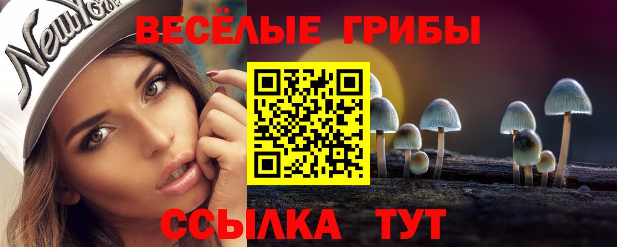 Псилоцибиновые грибы Cubensis  Вход с VPN  Канаш 